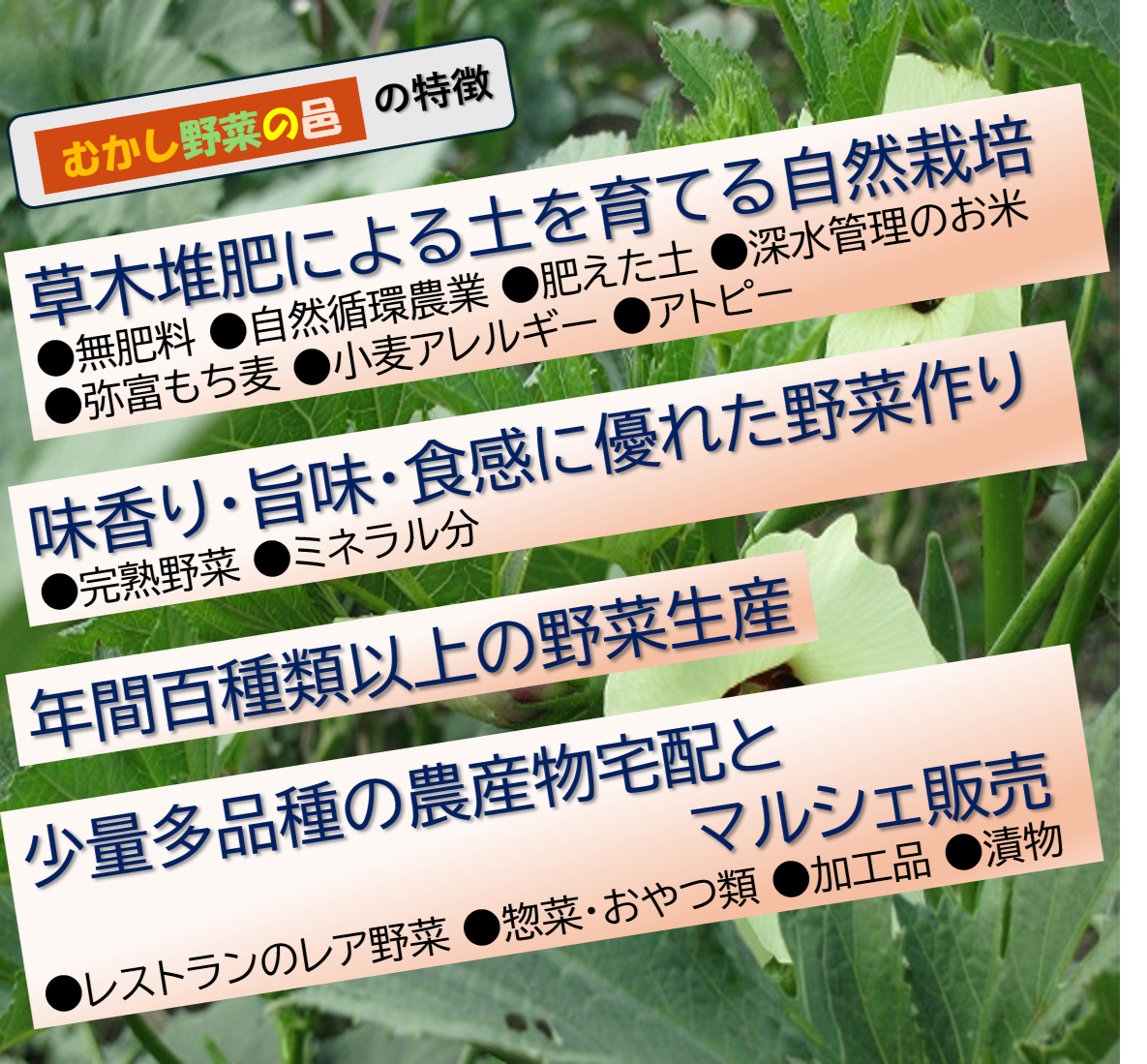 tokucho