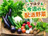 haisou-yasai